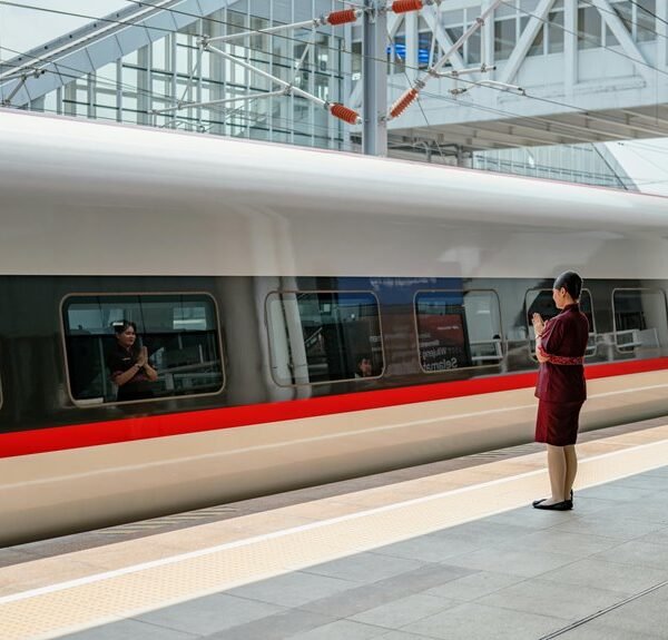 efficiently develop online platform