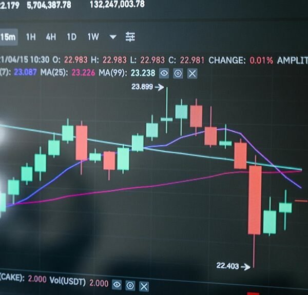 elevate your marketing strategy